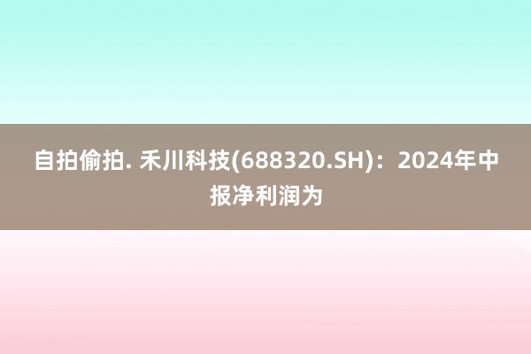 自拍偷拍. 禾川科技(688320.SH)：2024年中报净利润为