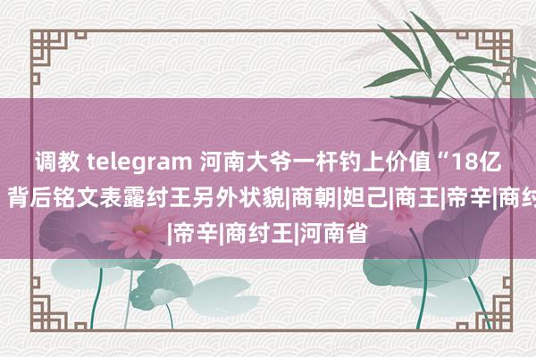 调教 telegram 河南大爷一杆钓上价值“18亿”青铜龟，背后铭文表露纣王另外状貌|商朝|妲己|商王|帝辛|商纣王|河南省