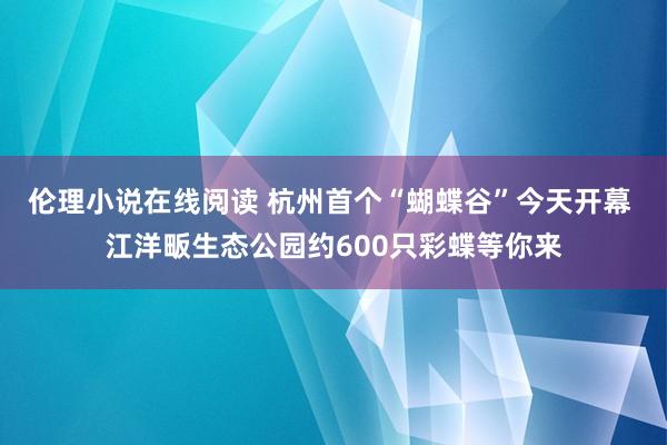 伦理小说在线阅读 杭州首个“蝴蝶谷”今天开幕 江洋畈生态公园约600只彩蝶等你来