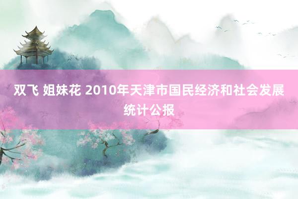 双飞 姐妹花 2010年天津市国民经济和社会发展统计公报